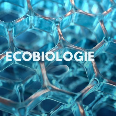 Ecobiologie - Hydrabio Ecobiologie - Hydrabio